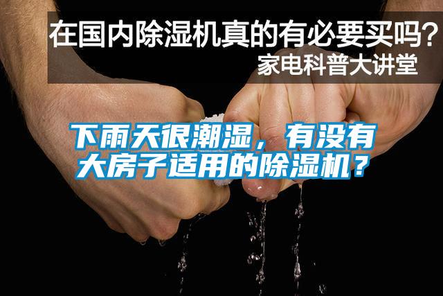 下雨天很潮濕，有沒有大房子適用的除濕機？