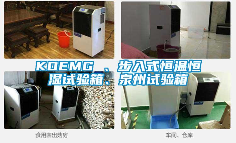 KOEMG 、步入式恒溫恒濕試驗(yàn)箱、泉州試驗(yàn)箱