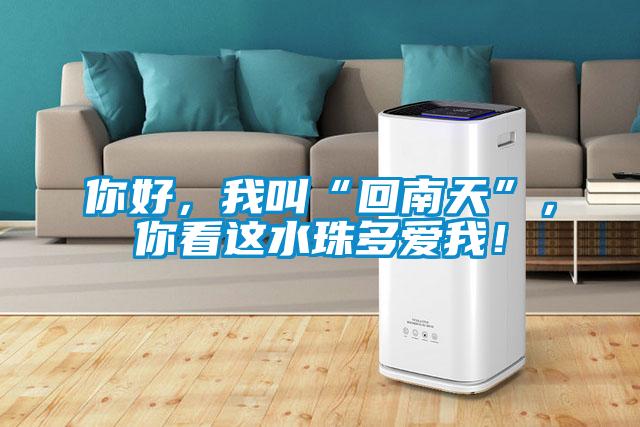 你好，我叫“回南天”，你看這水珠多愛(ài)我！