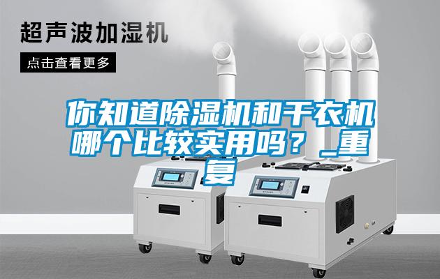 你知道除濕機(jī)和干衣機(jī)哪個(gè)比較實(shí)用嗎？_重復(fù)