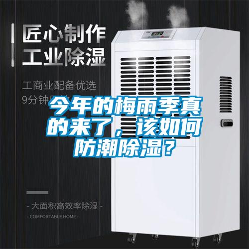 今年的梅雨季真的來了，該如何防潮除濕？
