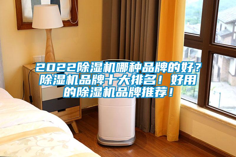 2022除濕機(jī)哪種品牌的好？除濕機(jī)品牌十大排名！好用的除濕機(jī)品牌推薦！