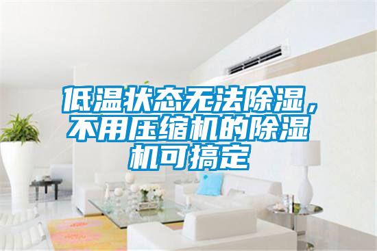 低溫狀態(tài)無法除濕，不用壓縮機的除濕機可搞定