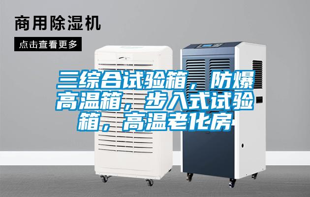 三綜合試驗(yàn)箱，防爆高溫箱，步入式試驗(yàn)箱，高溫老化房