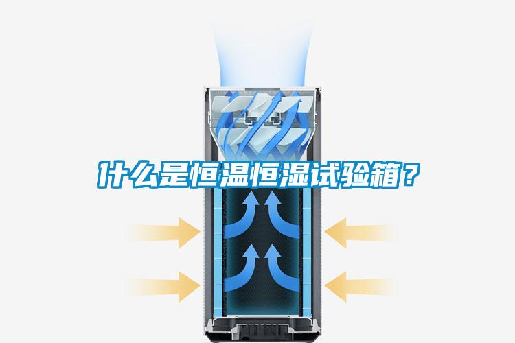 什么是恒溫恒濕試驗(yàn)箱？