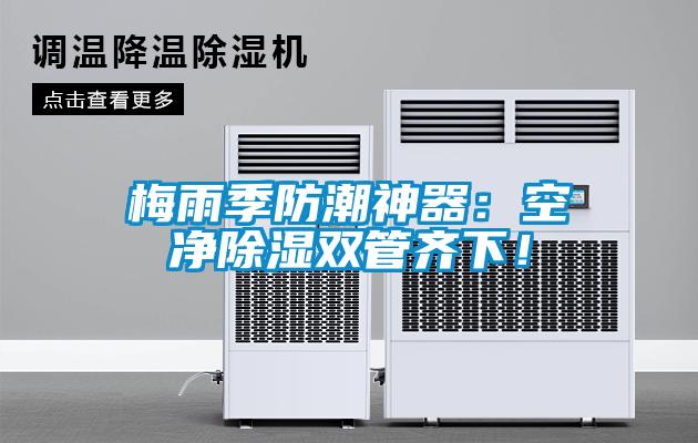 梅雨季防潮神器：空凈除濕雙管齊下！