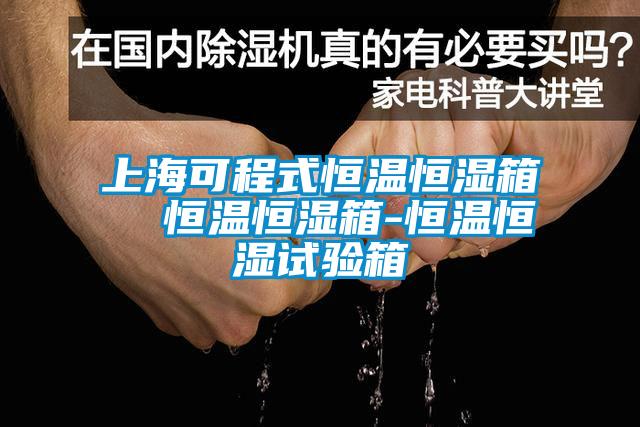 上?？沙淌胶銣睾銤裣? 恒溫恒濕箱-恒溫恒濕試驗箱