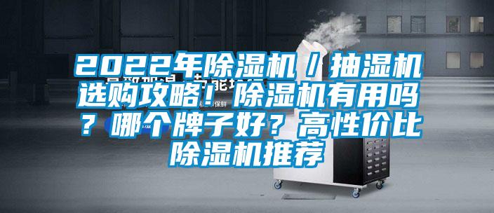 2022年除濕機(jī)／抽濕機(jī)選購(gòu)攻略！除濕機(jī)有用嗎？哪個(gè)牌子好？高性價(jià)比除濕機(jī)推薦