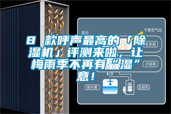 8 款呼聲最高的「除濕機(jī)」評(píng)測(cè)來啦，讓梅雨季不再有“濕”意！