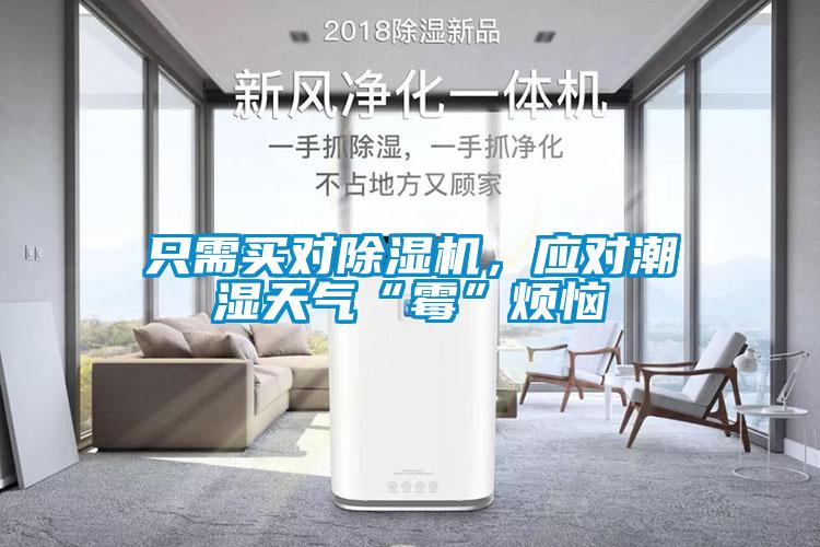 只需買對(duì)除濕機(jī)，應(yīng)對(duì)潮濕天氣“霉”煩惱