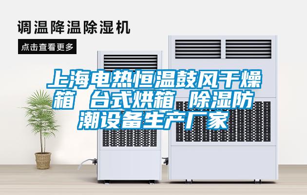 上海電熱恒溫鼓風(fēng)干燥箱 臺(tái)式烘箱 除濕防潮設(shè)備生產(chǎn)廠(chǎng)家