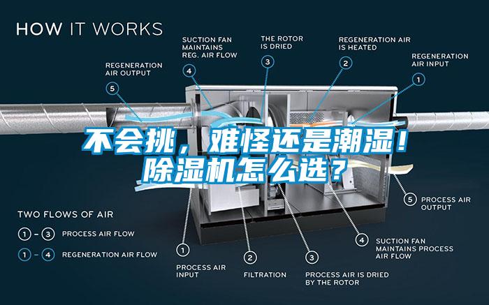 不會(huì)挑，難怪還是潮濕！除濕機(jī)怎么選？