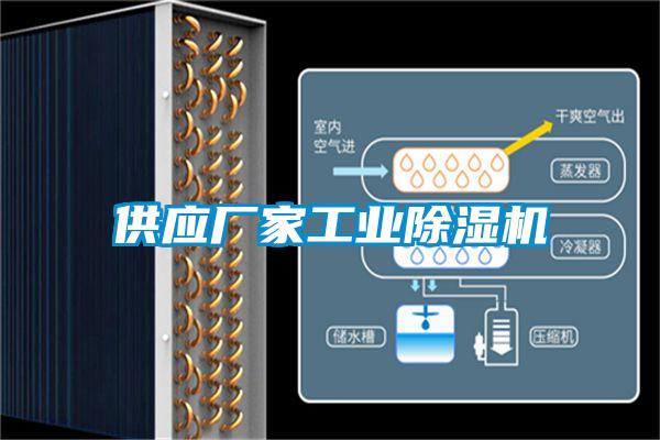 供應(yīng)廠家工業(yè)除濕機