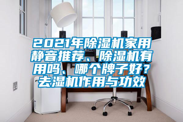 2021年除濕機(jī)家用靜音推薦、除濕機(jī)有用嗎、哪個牌子好？去濕機(jī)作用與功效
