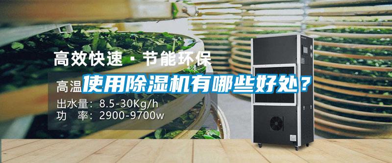 使用除濕機(jī)有哪些好處？