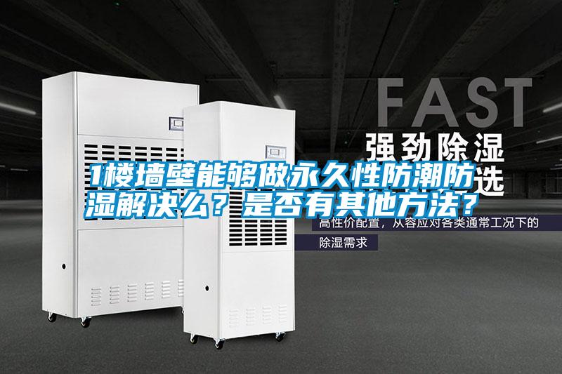 1樓墻壁能夠做永久性防潮防濕解決么？是否有其他方法？