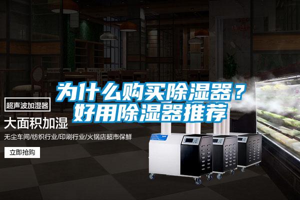 為什么購買除濕器？好用除濕器推薦