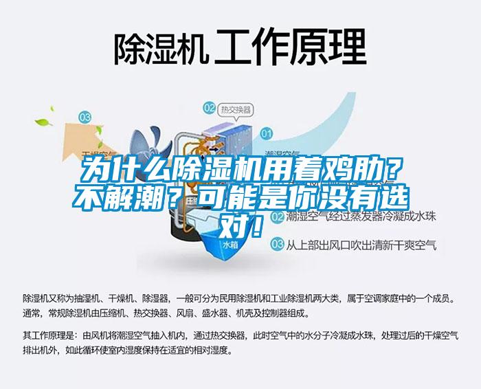 為什么除濕機用著雞肋？不解潮？可能是你沒有選對！