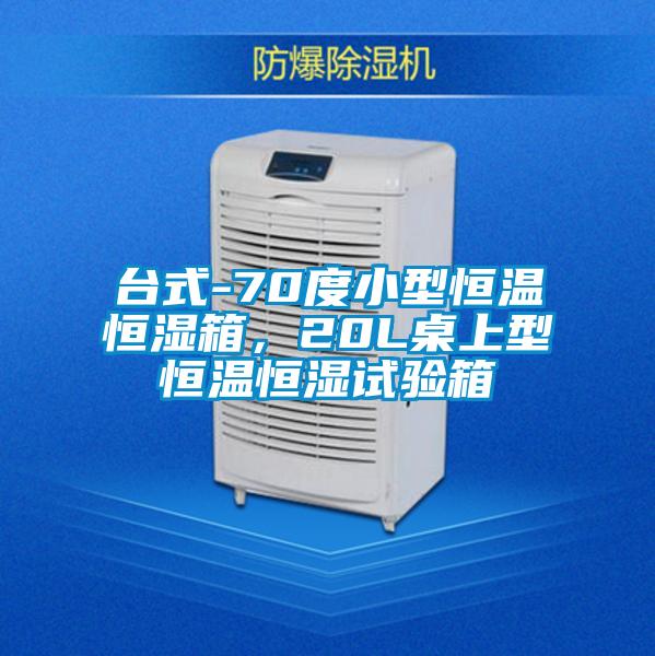 臺(tái)式-70度小型恒溫恒濕箱，20L桌上型恒溫恒濕試驗(yàn)箱