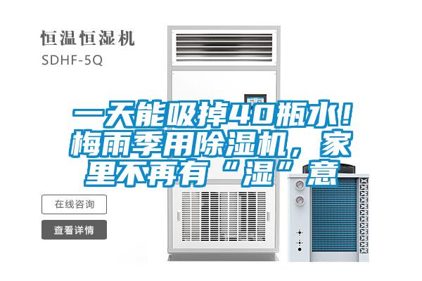 一天能吸掉40瓶水！梅雨季用除濕機(jī)，家里不再有“濕”意