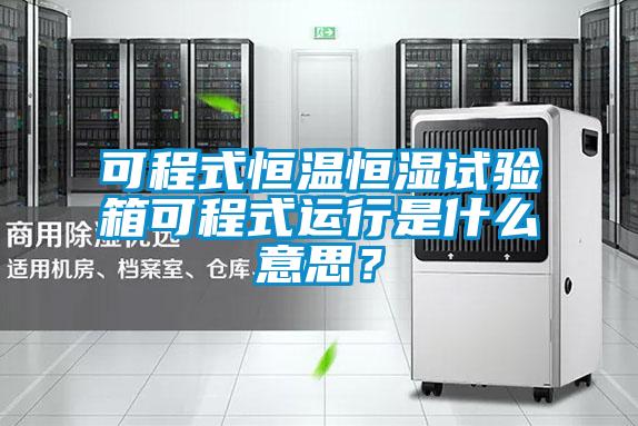 可程式恒溫恒濕試驗(yàn)箱可程式運(yùn)行是什么意思？