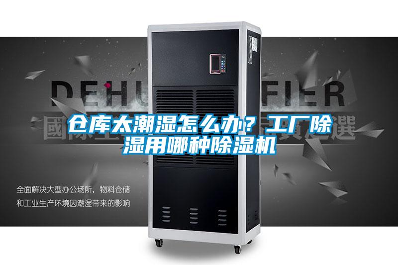 倉庫太潮濕怎么辦？工廠除濕用哪種除濕機