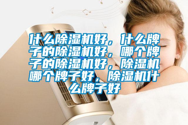什么除濕機好，什么牌子的除濕機好，哪個牌子的除濕機好，除濕機哪個牌子好，除濕機什么牌子好
