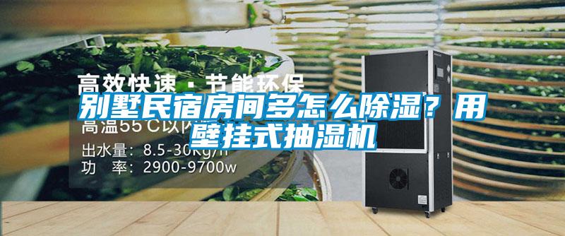 別墅民宿房間多怎么除濕？用壁掛式抽濕機(jī)