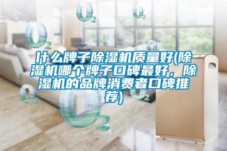 什么牌子除濕機(jī)質(zhì)量好(除濕機(jī)哪個(gè)牌子口碑最好，除濕機(jī)的品牌消費(fèi)者口碑推薦)