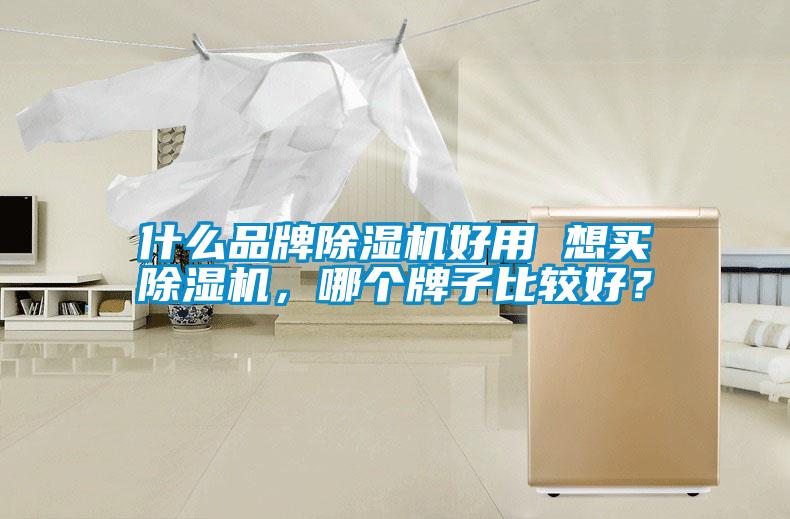 什么品牌除濕機(jī)好用 想買除濕機(jī)，哪個(gè)牌子比較好？