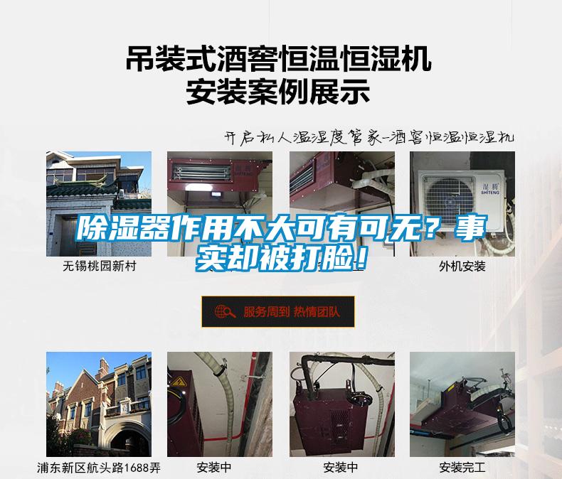 除濕器作用不大可有可無？事實卻被打臉！