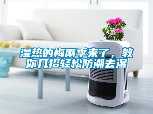 濕熱的梅雨季來了，教你幾招輕松防潮去濕