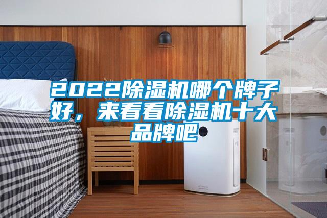 2022除濕機(jī)哪個牌子好，來看看除濕機(jī)十大品牌吧