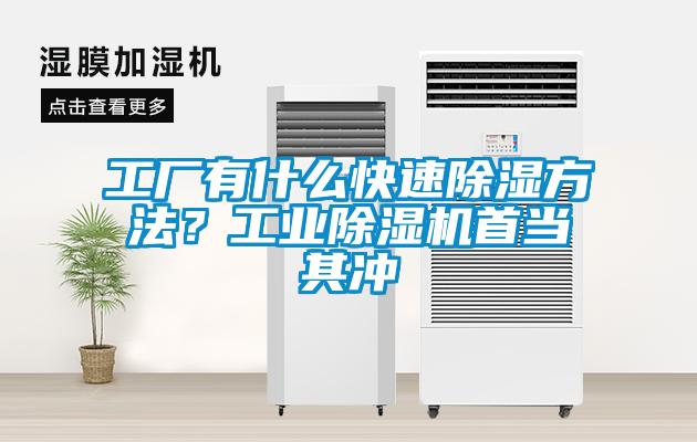 工廠有什么快速除濕方法？工業(yè)除濕機(jī)首當(dāng)其沖
