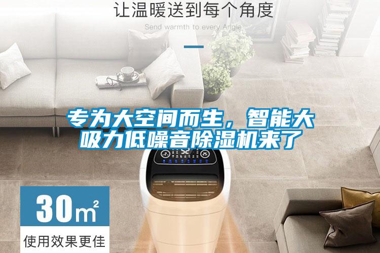 專為大空間而生，智能大吸力低噪音除濕機來了