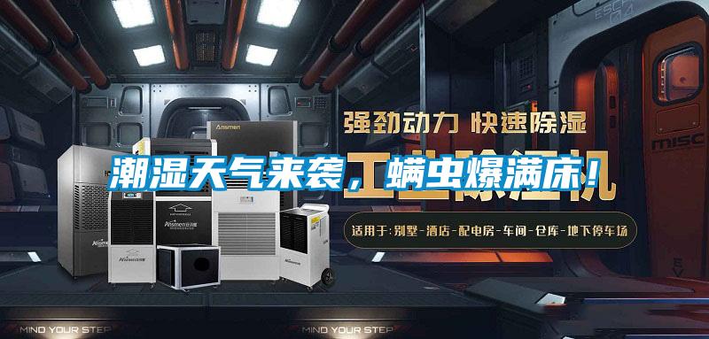 潮濕天氣來(lái)襲，螨蟲(chóng)爆滿床！