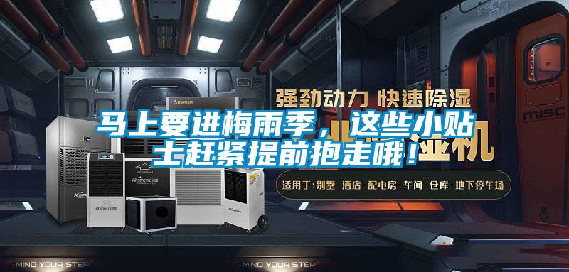 馬上要進(jìn)梅雨季，這些小貼士趕緊提前抱走哦！