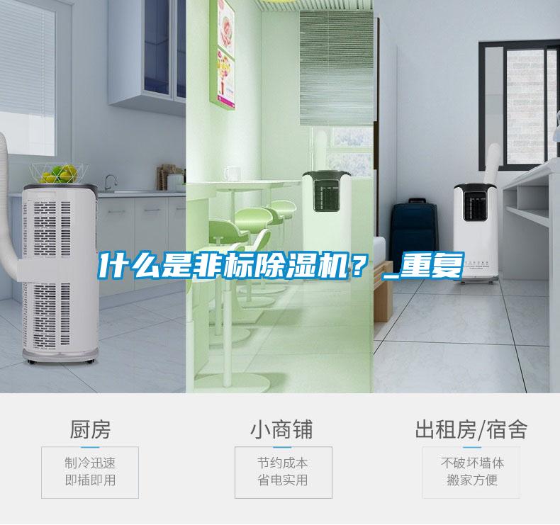 什么是非標(biāo)除濕機(jī)？_重復(fù)