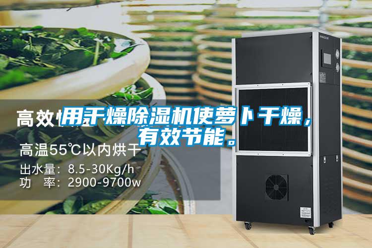 用干燥除濕機使蘿卜干燥，有效節(jié)能。