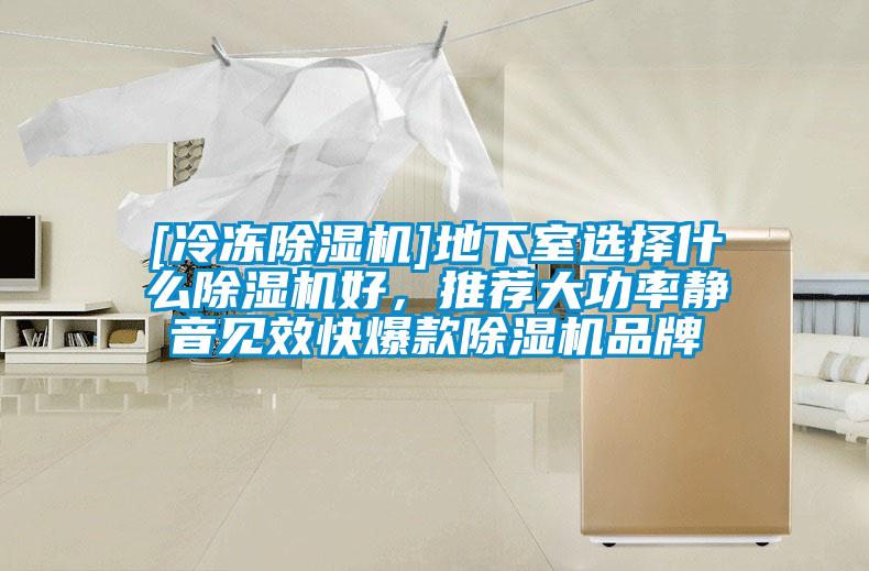 [冷凍除濕機]地下室選擇什么除濕機好，推薦大功率靜音見效快爆款除濕機品牌