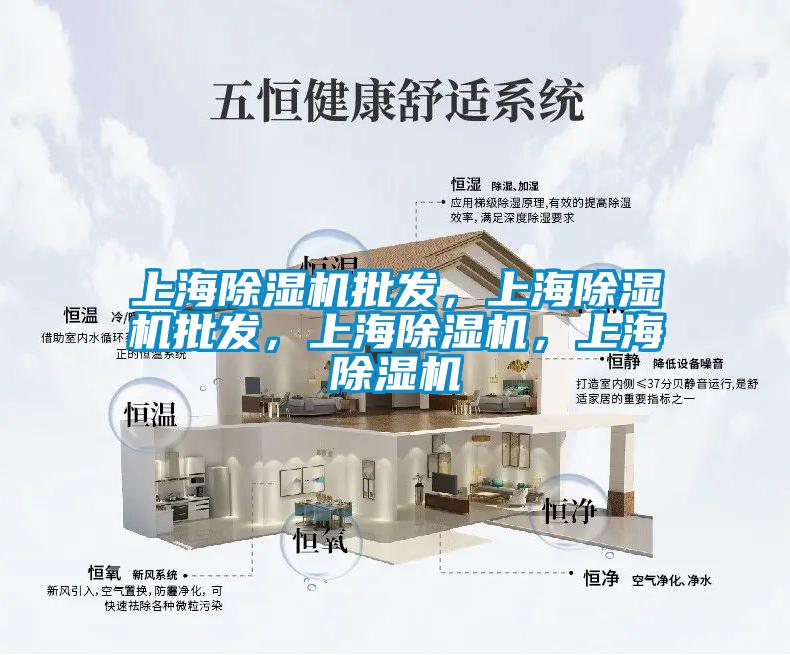 上海除濕機(jī)批發(fā)，上海除濕機(jī)批發(fā)，上海除濕機(jī)，上海除濕機(jī)