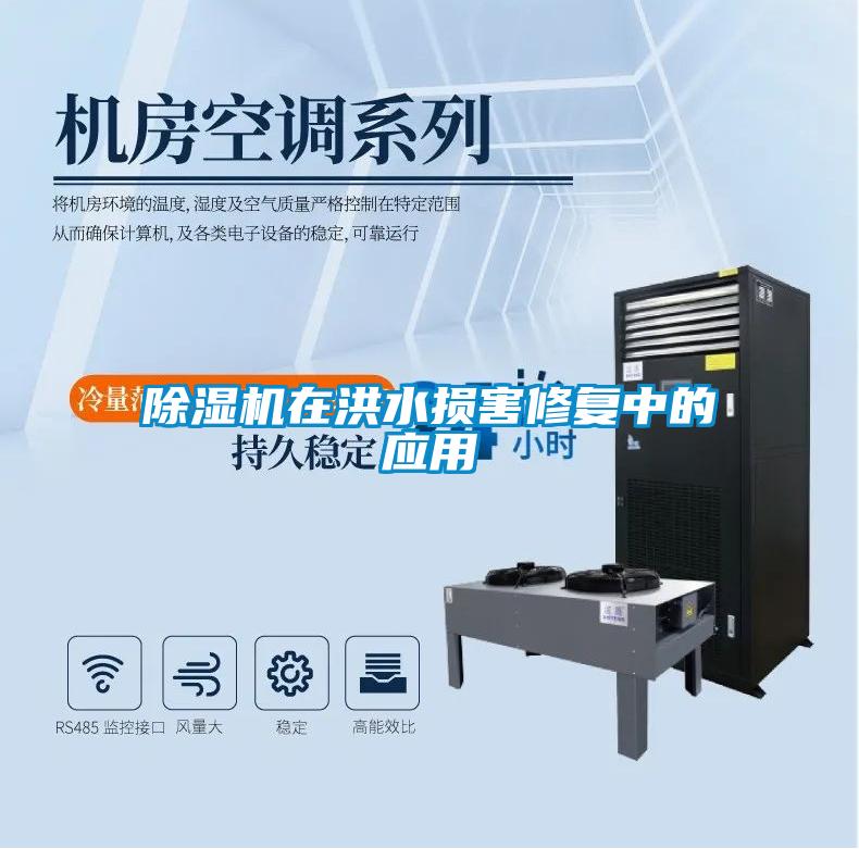 除濕機在洪水損害修復中的應用