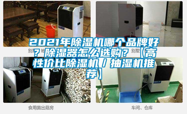 2021年除濕機(jī)哪個(gè)品牌好？除濕器怎么選購？【高性價(jià)比除濕機(jī)／抽濕機(jī)推薦】