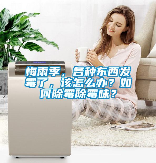 梅雨季，各種東西發(fā)霉了，該怎么辦？如何除霉除霉味？