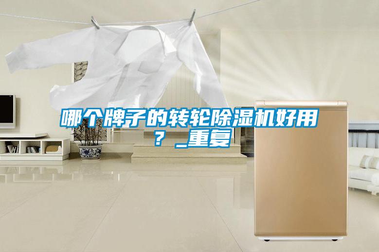 哪個(gè)牌子的轉(zhuǎn)輪除濕機(jī)好用？_重復(fù)