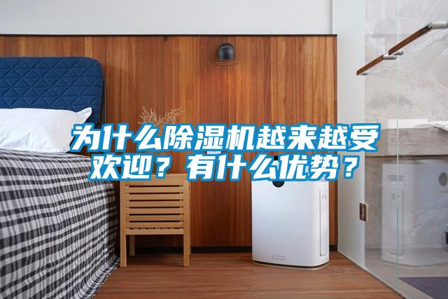 為什么除濕機(jī)越來(lái)越受歡迎？有什么優(yōu)勢(shì)？