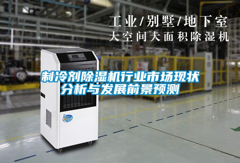 制冷劑除濕機行業(yè)市場現狀分析與發(fā)展前景預測