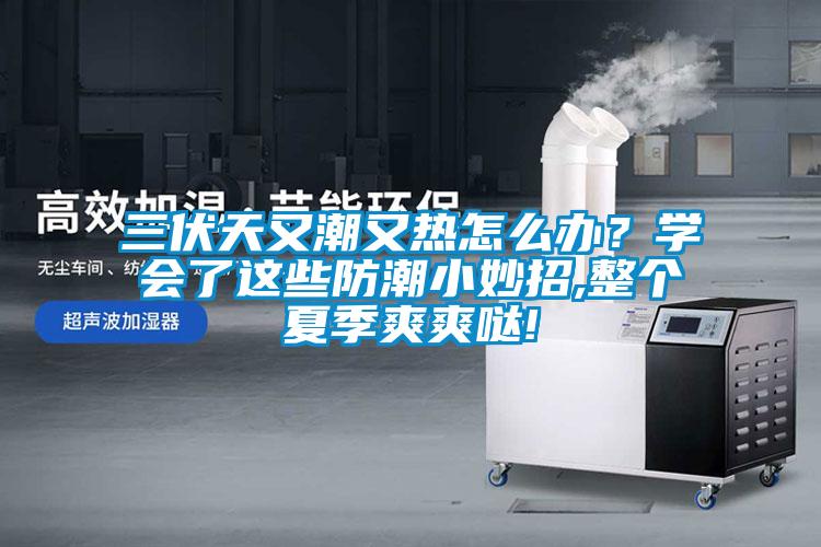 三伏天又潮又熱怎么辦？學(xué)會了這些防潮小妙招,整個夏季爽爽噠!