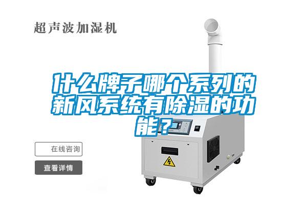 什么牌子哪個(gè)系列的新風(fēng)系統(tǒng)有除濕的功能？