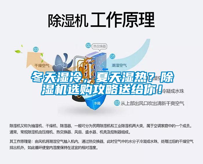 冬天濕冷，夏天濕熱？除濕機選購攻略送給你！